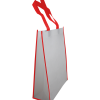 Nonwoven Vertical Bag- Border Green - Image 3